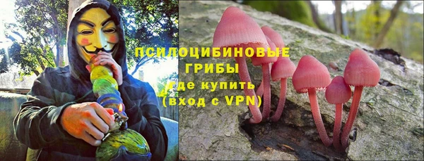apvp Алексин