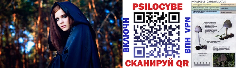 Псилоцибиновые грибы ЛСД  Мыски 